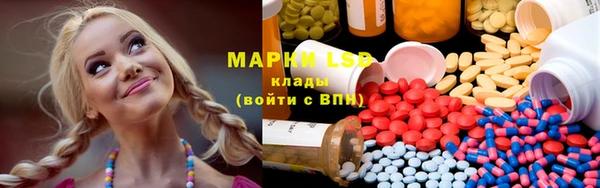PSILOCYBIN Бородино