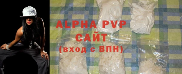 PSILOCYBIN Бородино