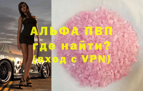 PSILOCYBIN Бородино