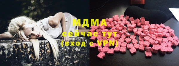 PSILOCYBIN Бородино
