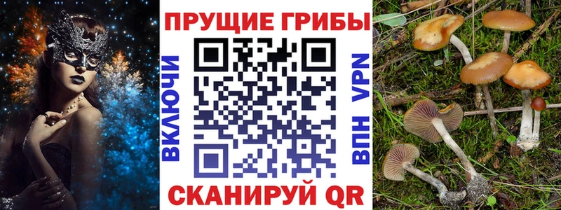 Псилоцибиновые грибы ЛСД Североморск